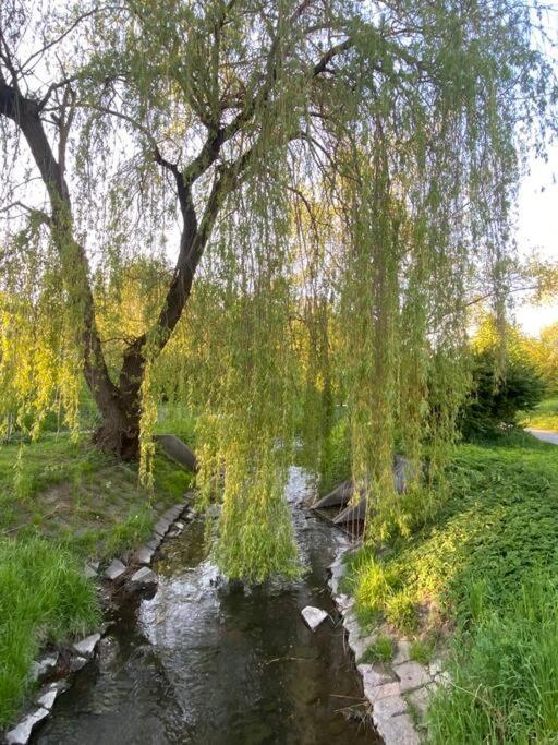 Apartamento Valley Art House & Parking Bezplatny Podziemny Kielce